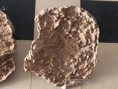 Trầm Hương Cảnh Tự Nhiên hình nấm