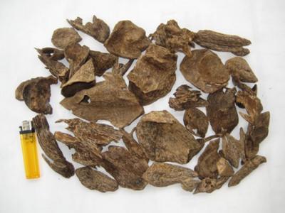 Trầm hương miếng HM07