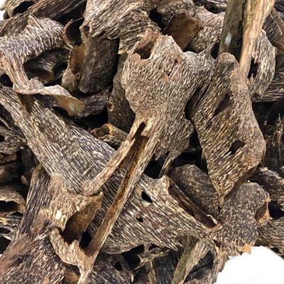 Trầm Hương Ổ/ Miếng (100gram)