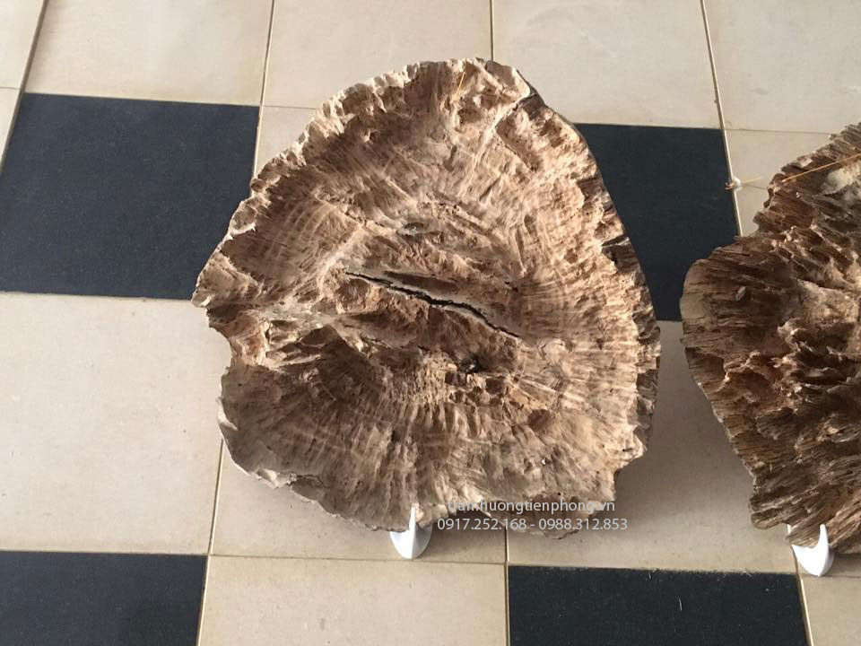 Trầm hương cảnh tự nhiên