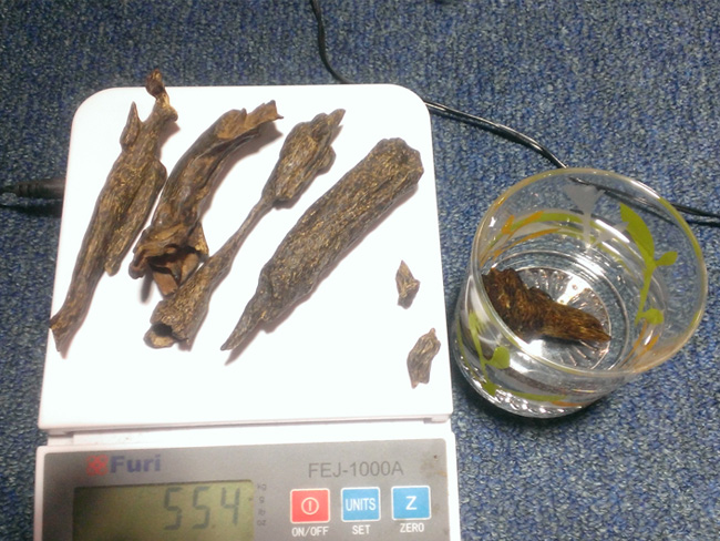 Trầm hương miếng chìm nước